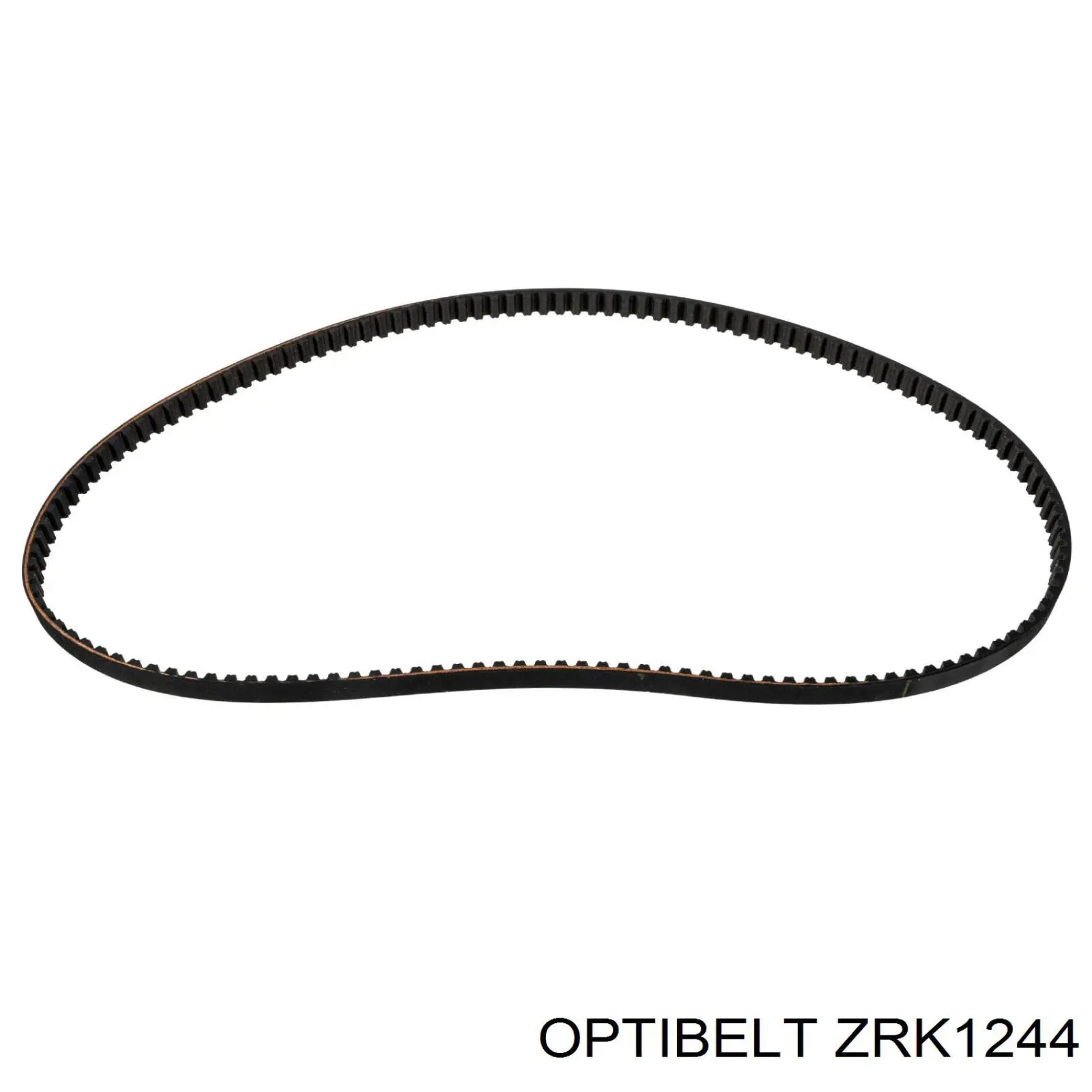 ZRK1244 Optibelt correa distribucion