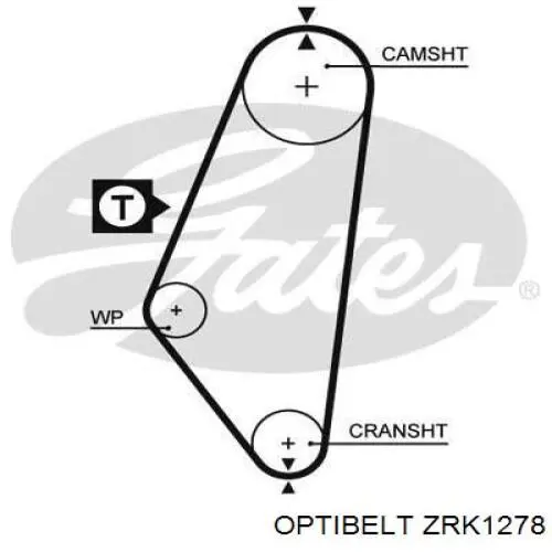 ZRK1278 Optibelt correa distribucion