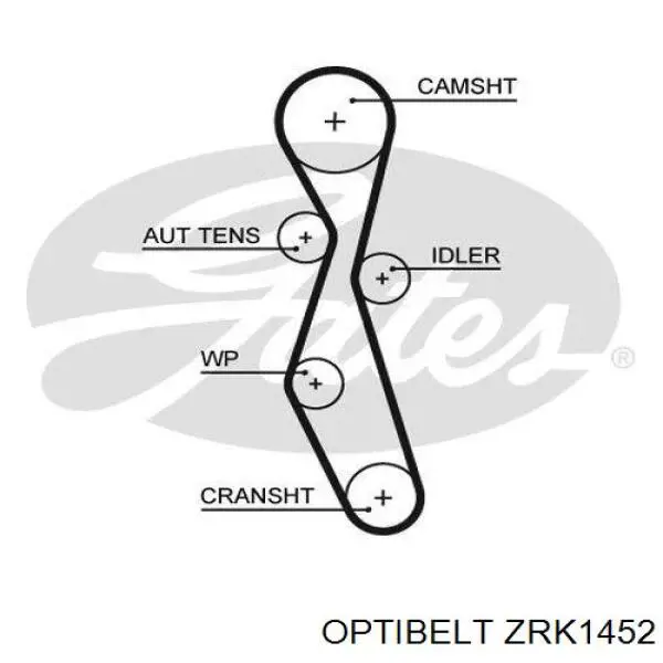 ZRK1452 Optibelt correa distribucion