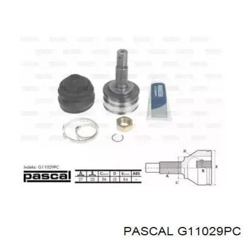 G11029PC Pascal junta homocinética exterior delantera