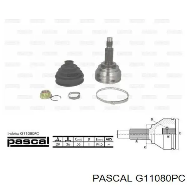 G11080PC Pascal junta homocinética exterior delantera