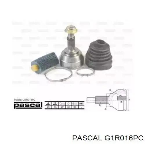 G1R016PC Pascal junta homocinética exterior delantera