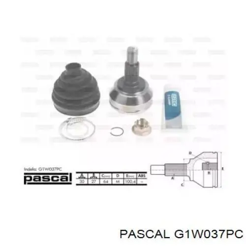 G1W037PC Pascal junta homocinética exterior delantera