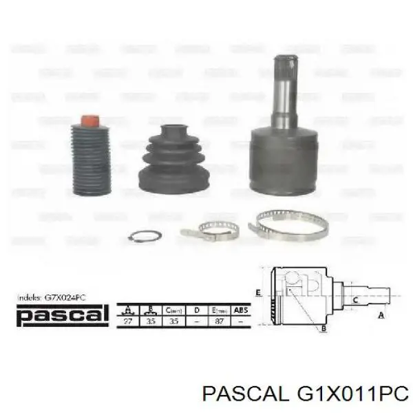 G1X011PC Pascal junta homocinética exterior delantera