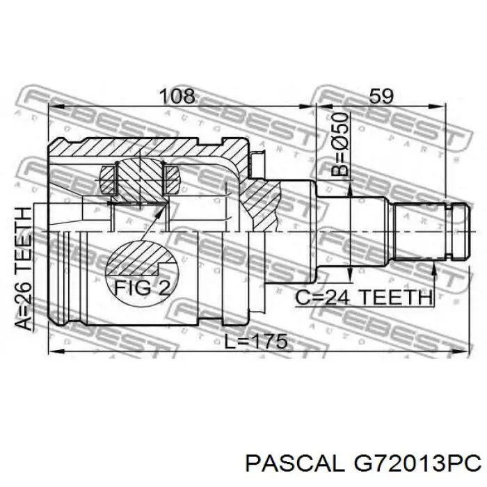 G72013PC Pascal junta homocinética interior delantera izquierda