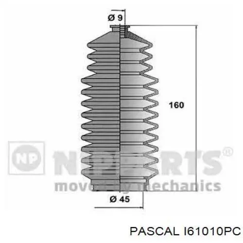 I61010PC Pascal fuelle, dirección