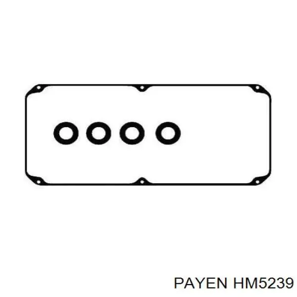 HM5239 Payen junta de la tapa de válvulas del motor