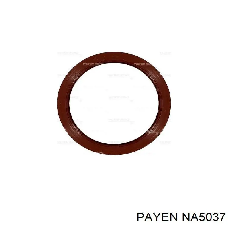 NA5037 Payen anillo retén, cigüeñal