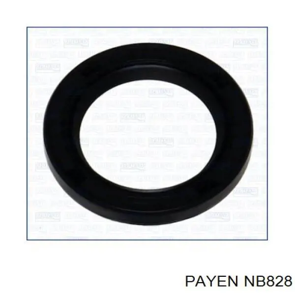 NB828 Payen anillo retén, cigüeñal frontal