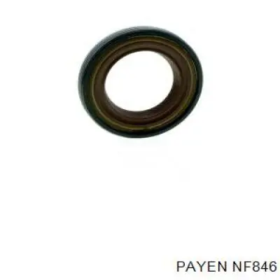 NF846 Payen anillo retén, árbol de levas