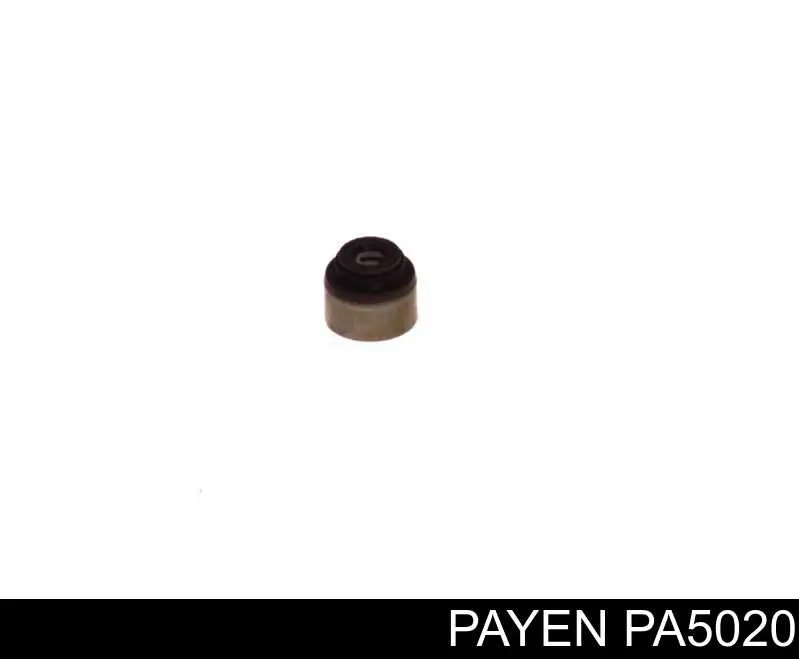 PA5020 Payen valvula de admision (rascador de aceite)