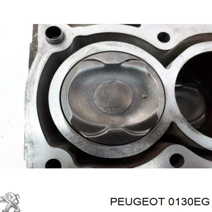 0130EG Peugeot/Citroen bloque motor