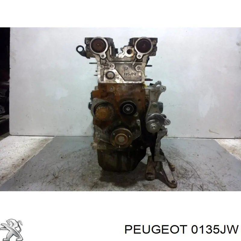 0135JW Peugeot/Citroen motor completo