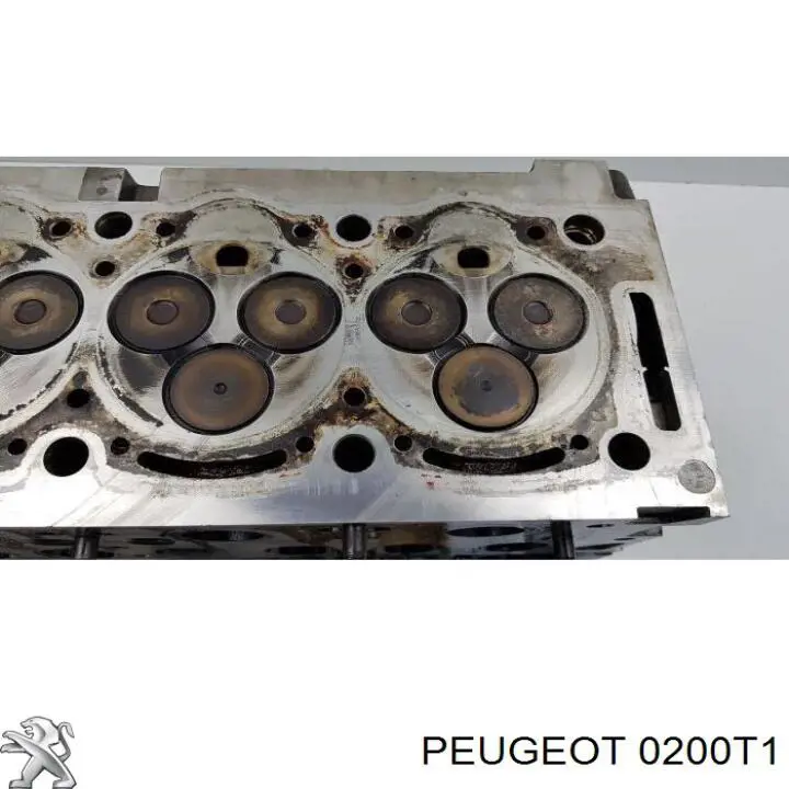  Culata para Peugeot 806 221