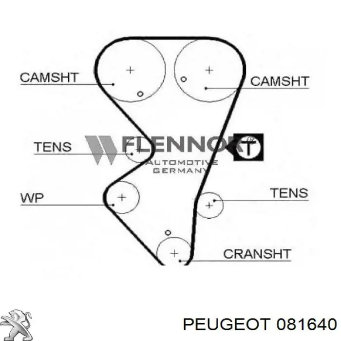 081640 Peugeot/Citroen correa distribucion