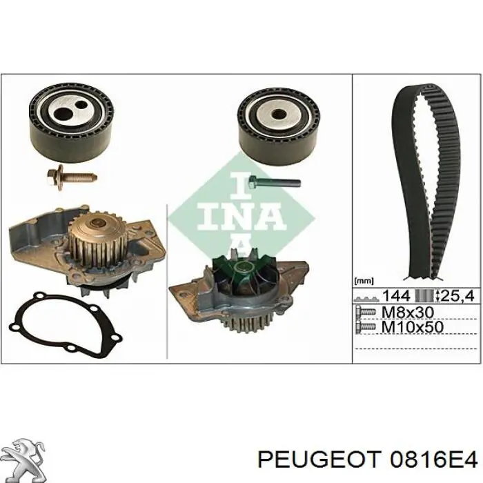 0816E4 Peugeot/Citroen correa distribucion