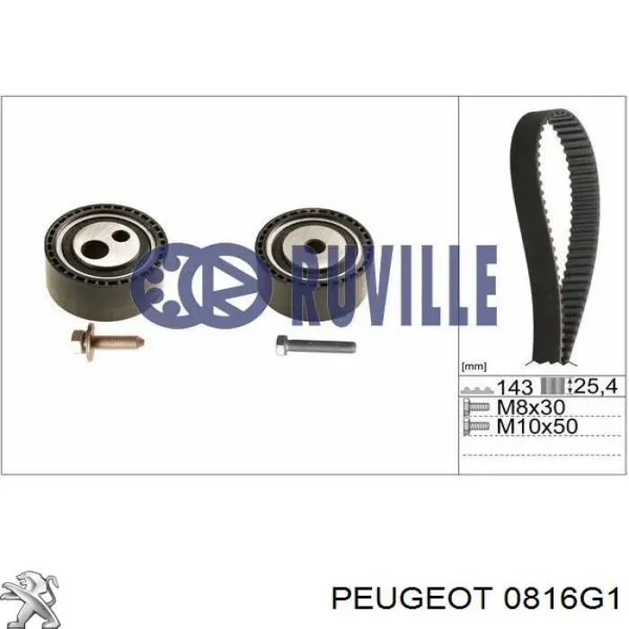 0816G1 Peugeot/Citroen correa distribucion