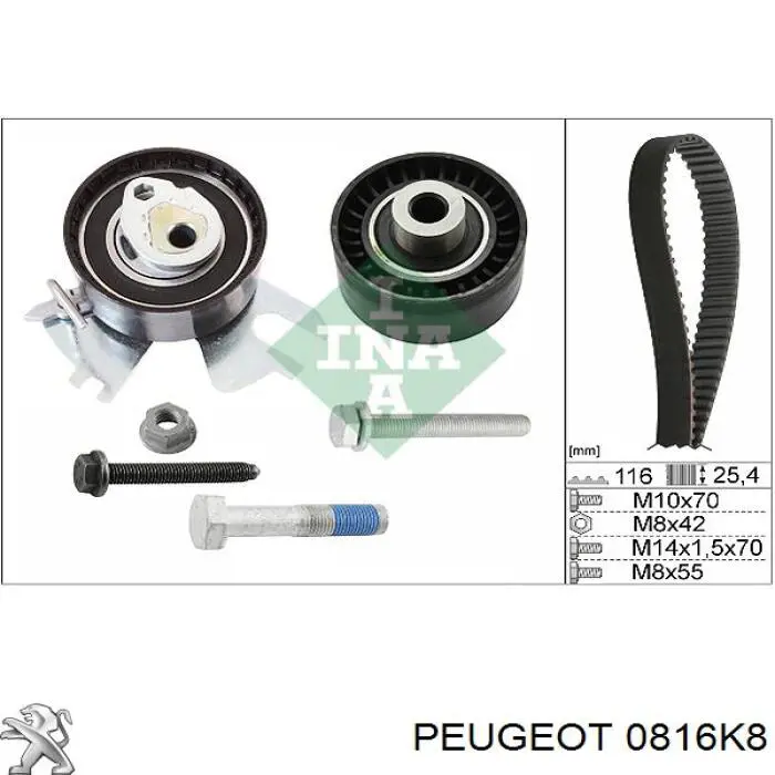 0816K8 Peugeot/Citroen correa distribucion