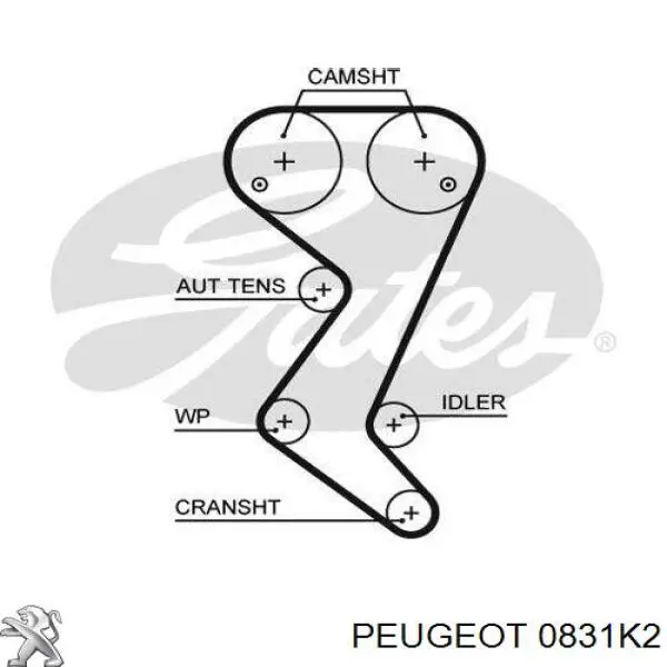 0831K2 Peugeot/Citroen kit correa de distribución