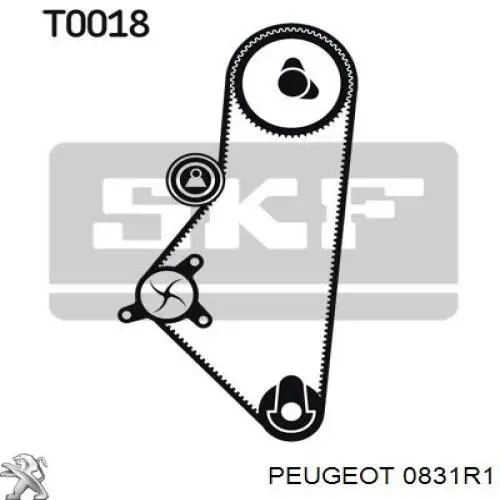 0831.R1 Peugeot/Citroen kit correa de distribución