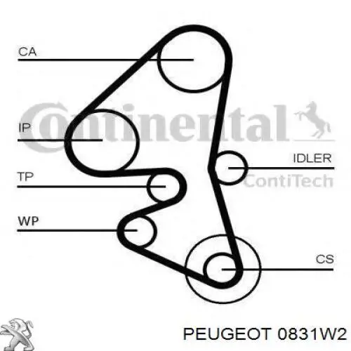 0831W2 Peugeot/Citroen kit correa de distribución