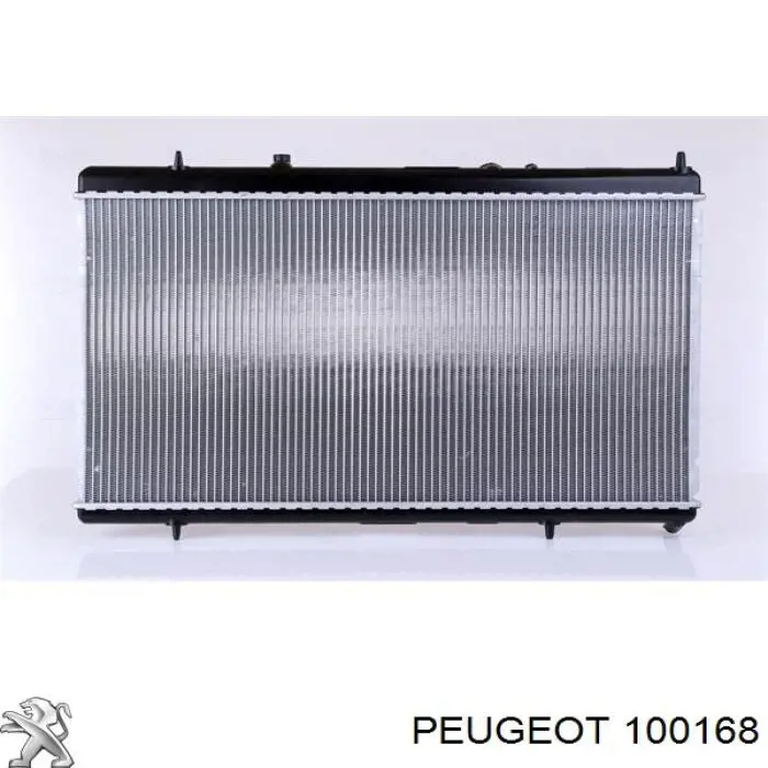 100168 Peugeot/Citroen bomba de aceite