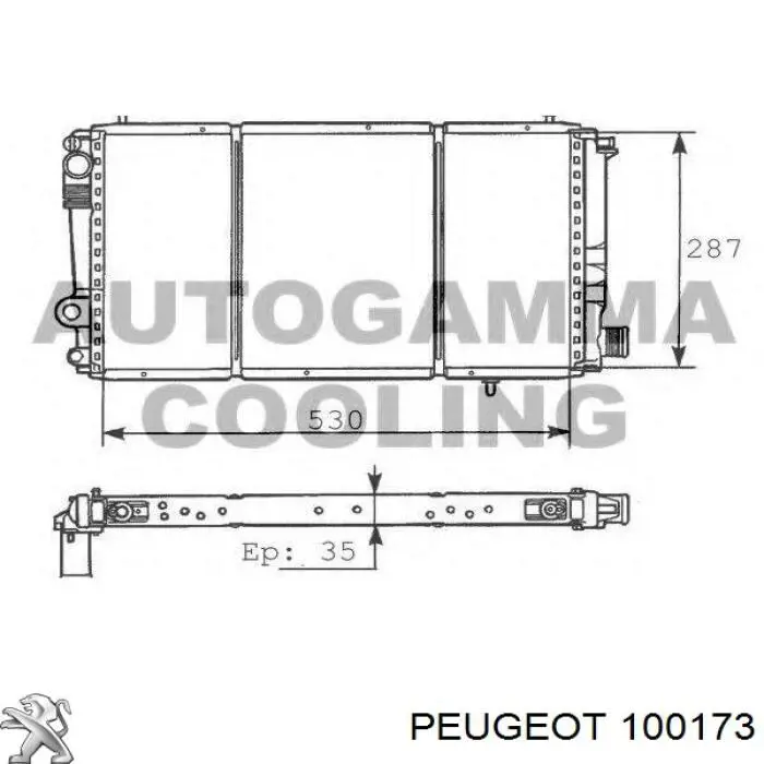 100173 Peugeot/Citroen bomba de aceite