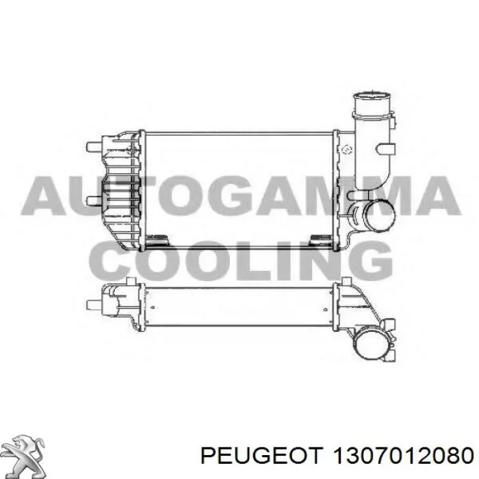 1307012080 Peugeot/Citroen radiador de aire de admisión