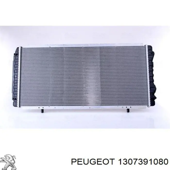 1307391080 Peugeot/Citroen radiador refrigeración del motor