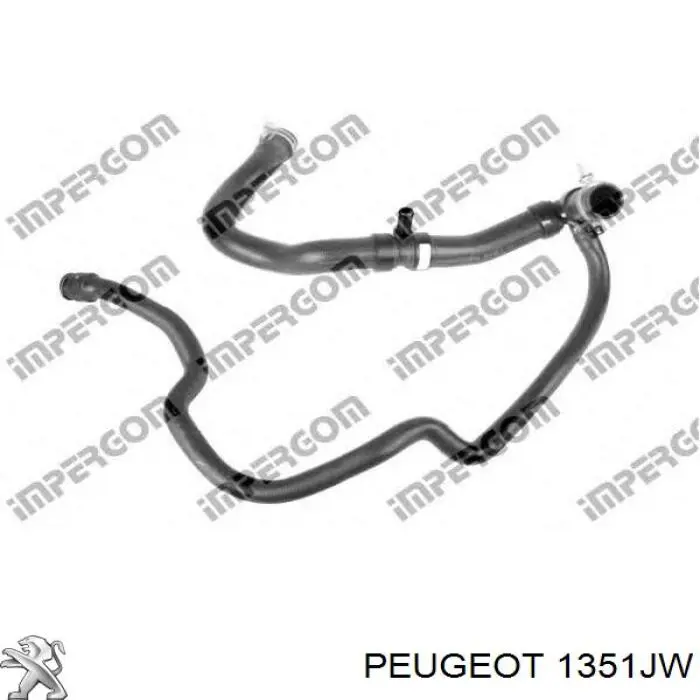 1351JW Peugeot/Citroen manguera refrigerante para radiador inferiora