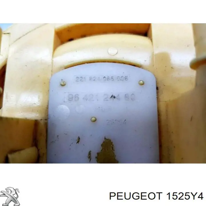 1613303080 Peugeot/Citroen módulo alimentación de combustible