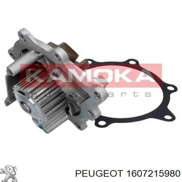 1607215980 Peugeot/Citroen bomba de agua