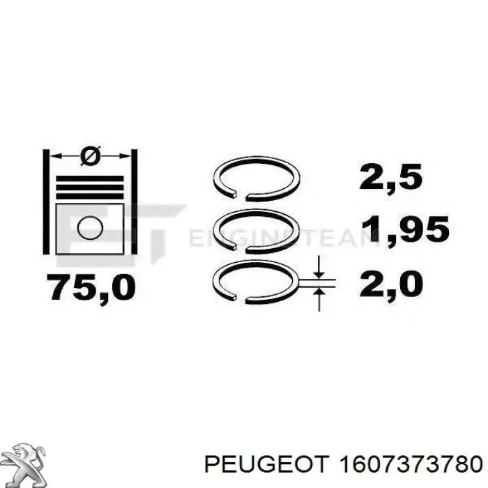  Juego de aros de pistón para 1 cilindro, STD para Citroen C4 2 