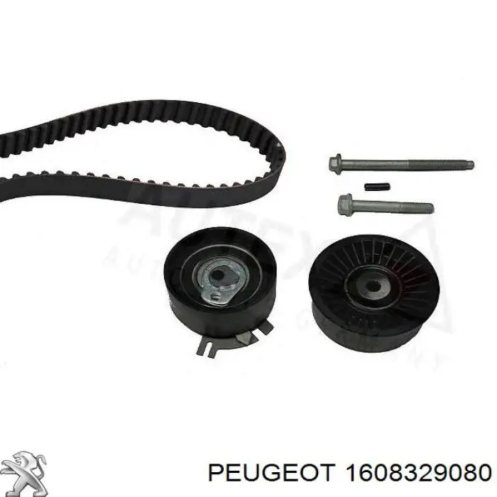 1608329080 Peugeot/Citroen muelle de suspensión eje delantero