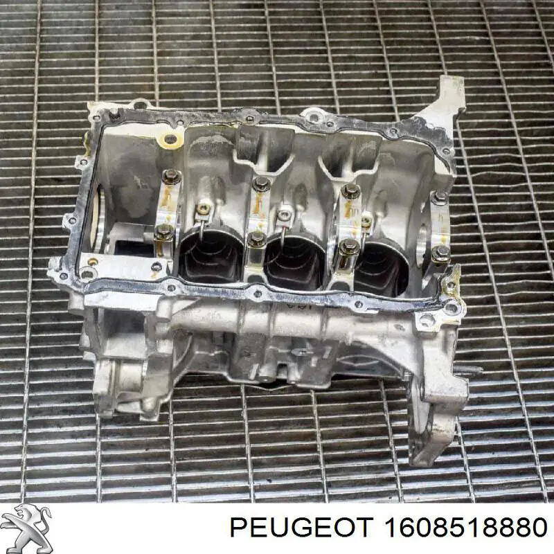 1608518880 Peugeot/Citroen bloque motor