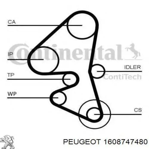 1608747480 Peugeot/Citroen kit correa de distribución