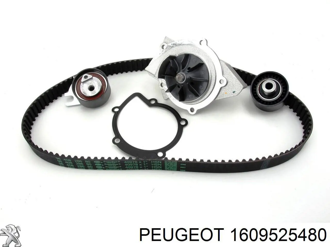 1609525480 Peugeot/Citroen kit correa de distribución