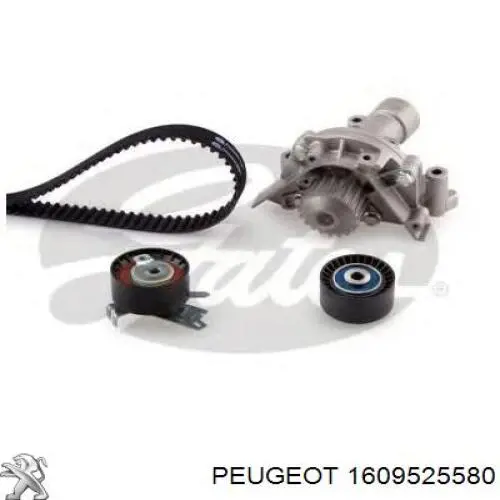 1609525580 Peugeot/Citroen kit correa de distribución