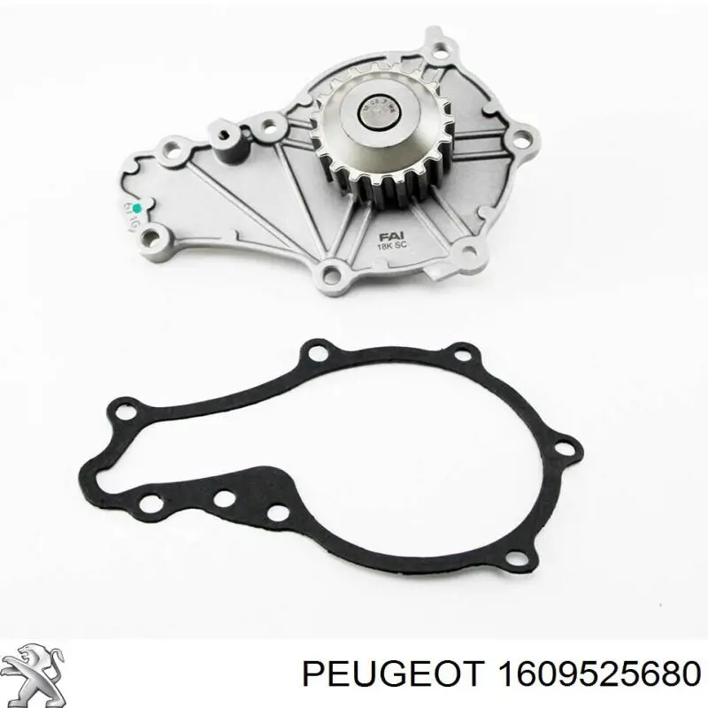 1609525680 Peugeot/Citroen kit correa de distribución