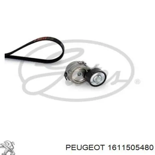 1611505480 Peugeot/Citroen correa de transmision, juego completo