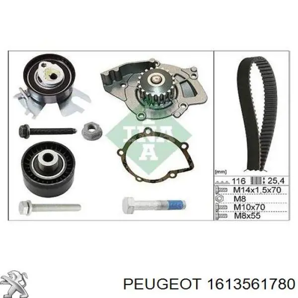 1613561780 Peugeot/Citroen kit correa de distribución