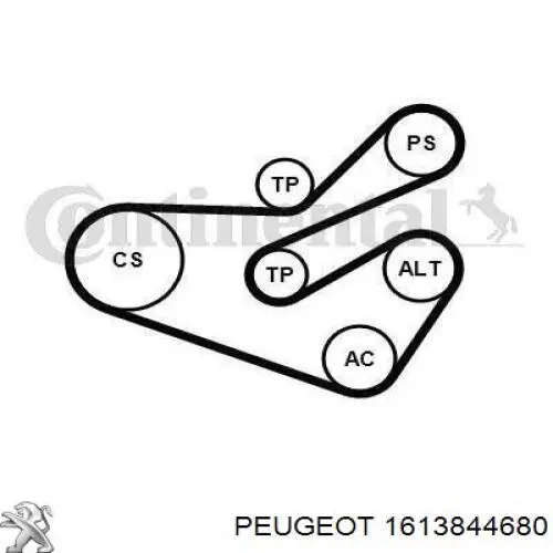 1613844680 Peugeot/Citroen 