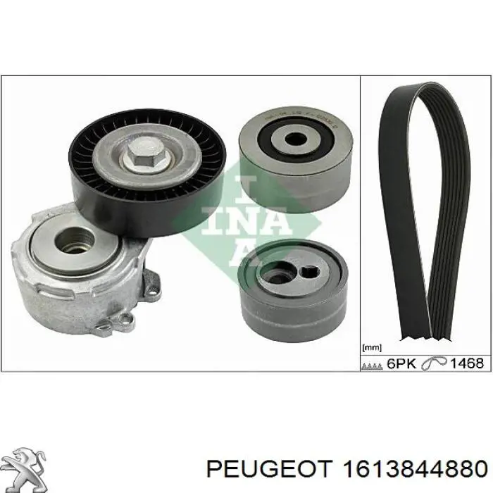 1616161480 Peugeot/Citroen correa de transmision, juego completo