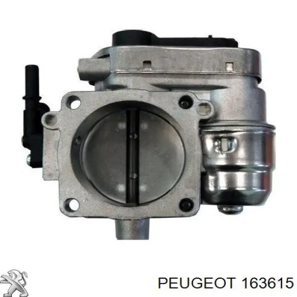 163615 Peugeot/Citroen cuerpo de mariposa completo