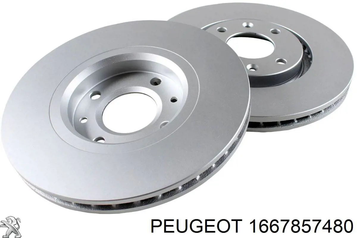 1667857480 Peugeot/Citroen freno de disco delantero