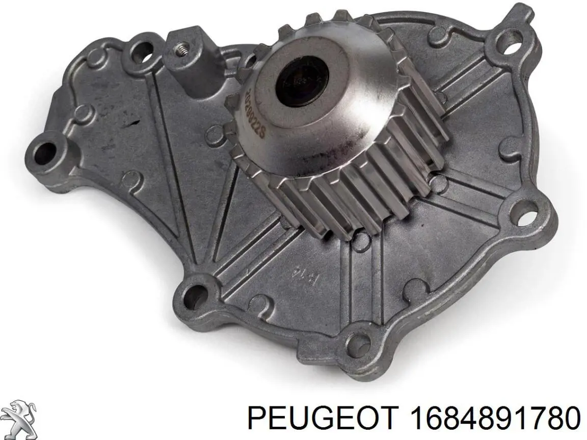 1684891780 Peugeot/Citroen kit correa de distribución