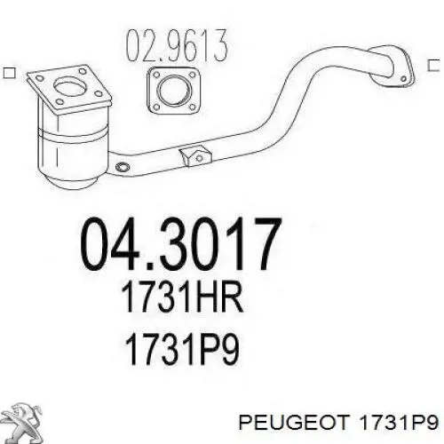 1731P9 Peugeot/Citroen catalizador