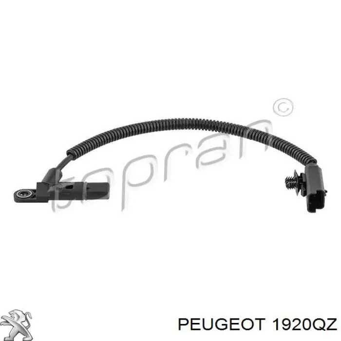 1920QZ Peugeot/Citroen sensor de posición del árbol de levas