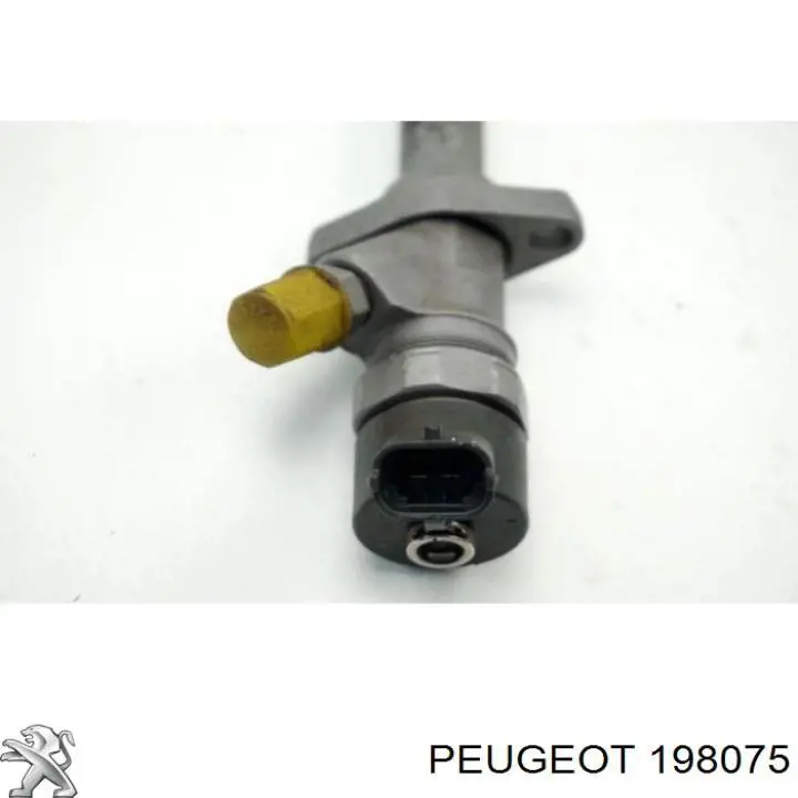 198075 Peugeot/Citroen inyector de combustible