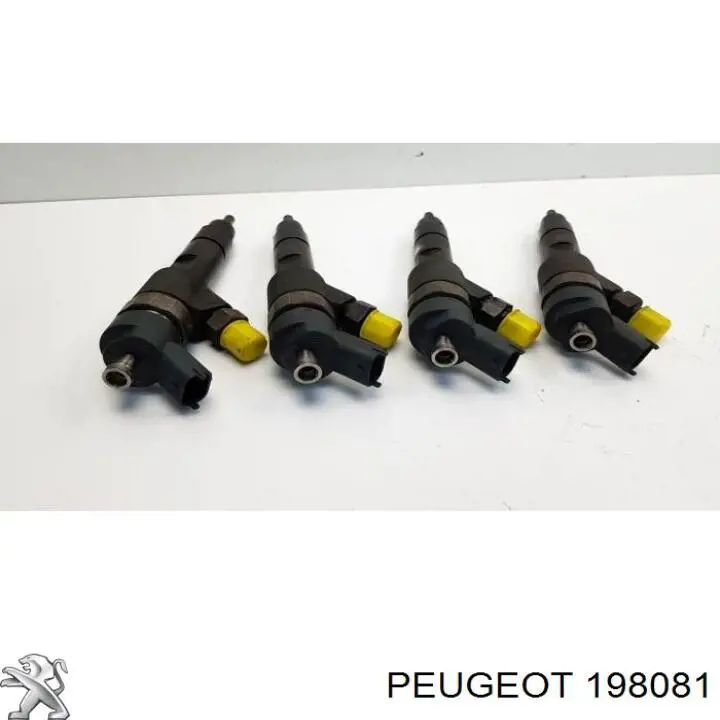 198081 Peugeot/Citroen inyector de combustible